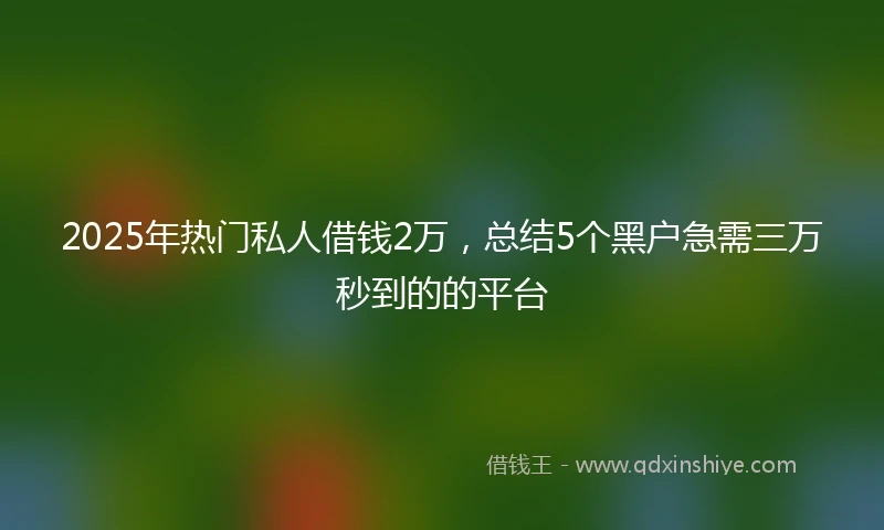 2025年热门私人借钱2万，总结5个黑户急需三万秒到的的平台