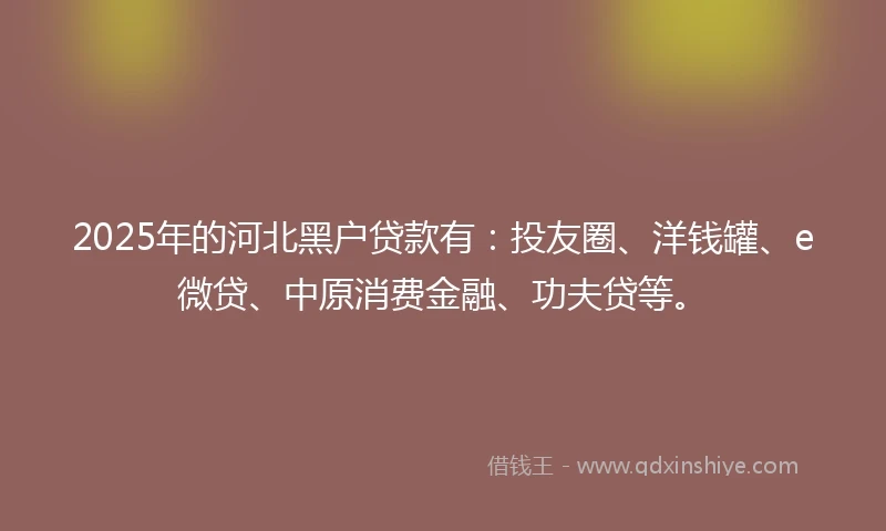 2025年的河北黑户贷款有：投友圈、洋钱罐、e微贷、中原消费金融、功夫贷等。
