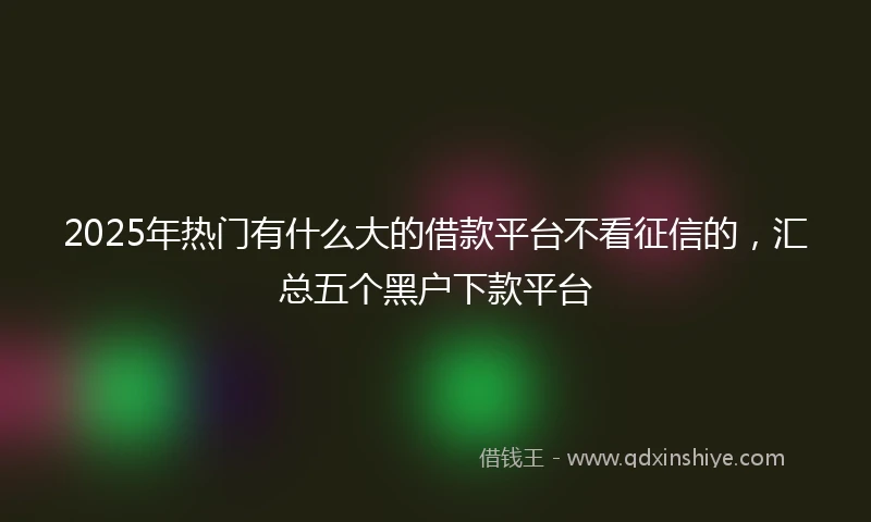 2025年热门有什么大的借款平台不看征信的，汇总五个黑户下款平台