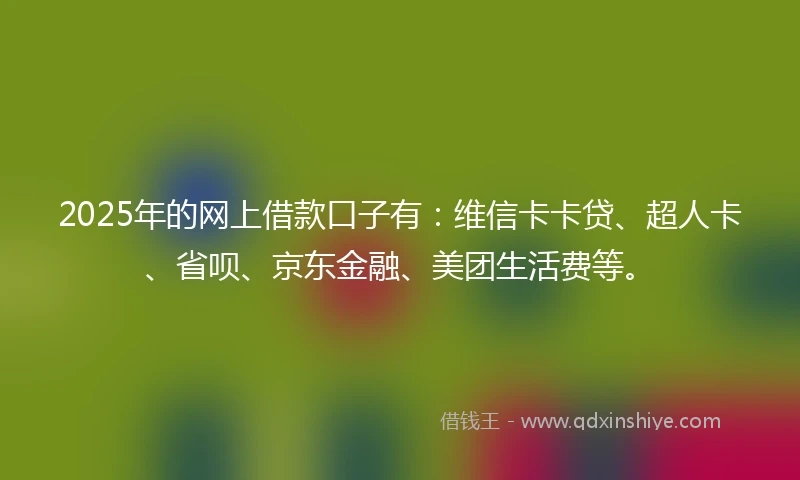 2025年的网上借款口子有：维信卡卡贷、超人卡、省呗、京东金融、美团生活费等。