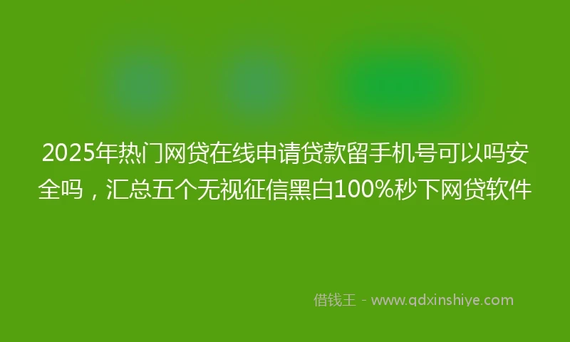 2025年热门网贷在线申请贷款留手机号可以吗安全吗，汇总五个无视征信黑白100%秒下网贷软件