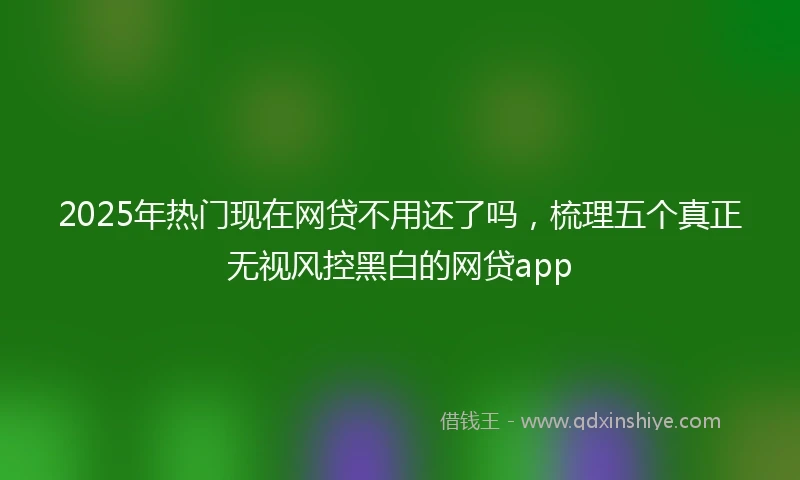 2025年热门现在网贷不用还了吗，梳理五个真正无视风控黑白的网贷app