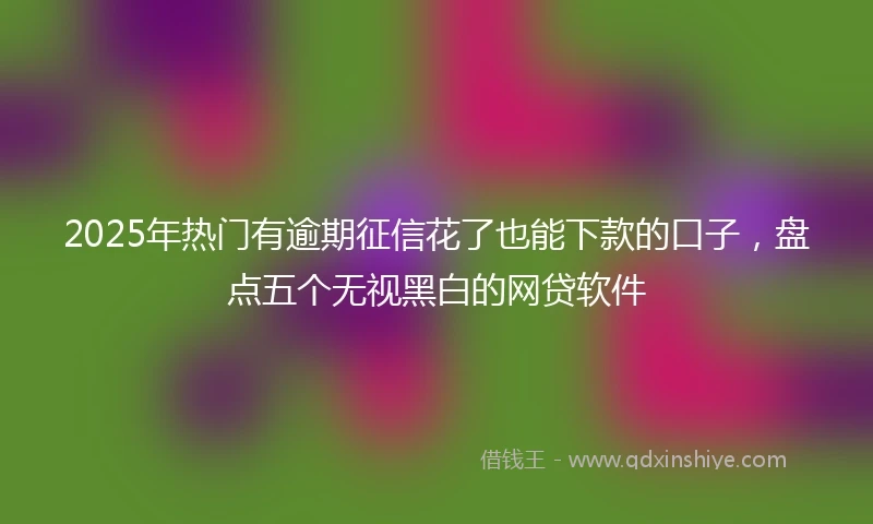 2025年热门有逾期征信花了也能下款的口子，盘点五个无视黑白的网贷软件