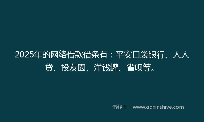 2025年的网络借款借条有:平安口袋银行、人人贷、投友圈、洋钱罐、省呗等。