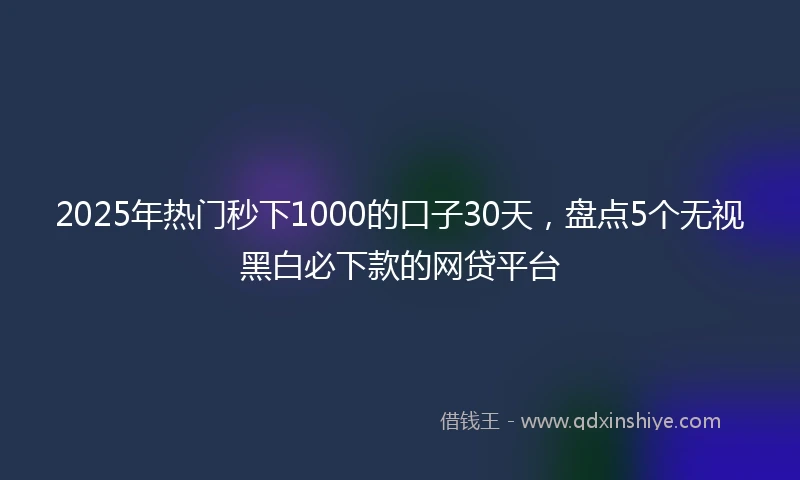 2025年热门秒下1000的口子30天，盘点5个无视黑白必下款的网贷平台