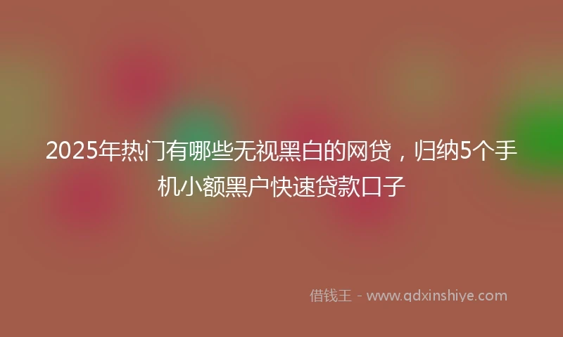 2025年热门有哪些无视黑白的网贷，归纳5个手机小额黑户快速贷款口子