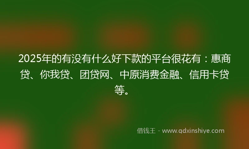 2025年的有没有什么好下款的平台很花有：惠商贷、你我贷、团贷网、中原消费金融、信用卡贷等。