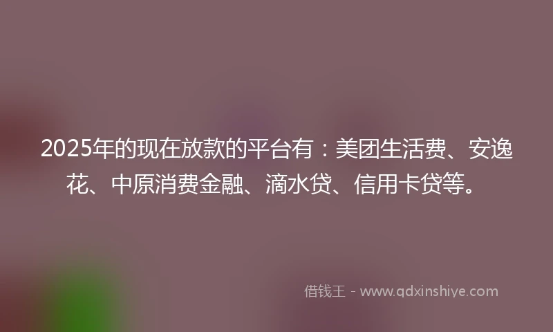 2025年的现在放款的平台有：美团生活费、安逸花、中原消费金融、滴水贷、信用卡贷等。