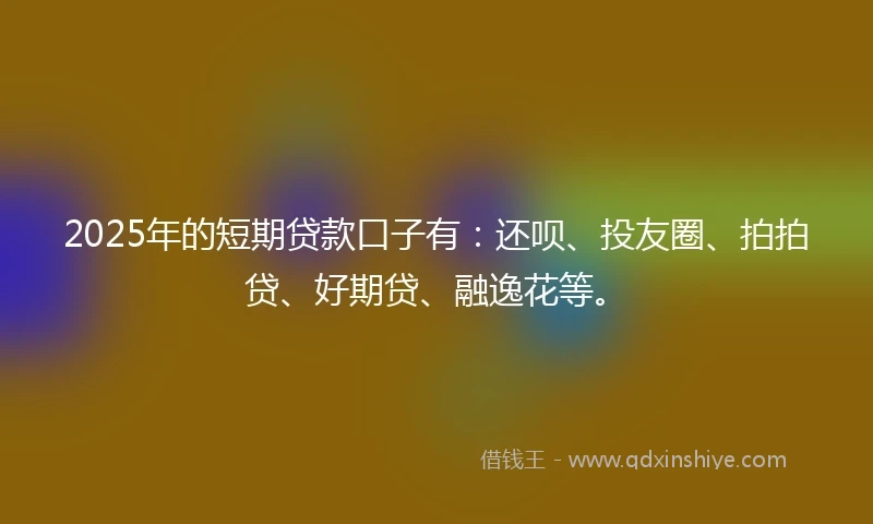 2025年的短期贷款口子有：还呗、投友圈、拍拍贷、好期贷、融逸花等。