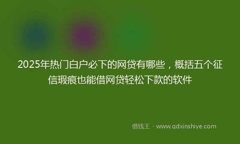 2025年热门白户必下的网贷有哪些，概括五个征信瑕疵也能借网贷轻松下款的软件