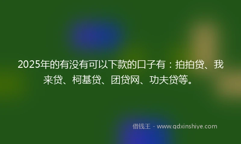2025年的有没有可以下款的口子有：拍拍贷、我来贷、柯基贷、团贷网、功夫贷等。