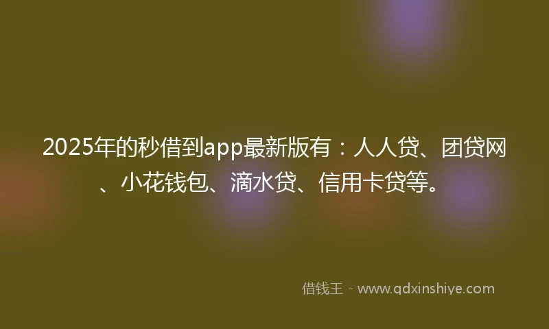 2025年的秒借到app最新版有：人人贷、团贷网、小花钱包、滴水贷、信用卡贷等。