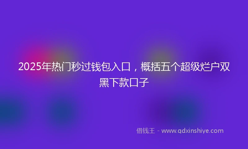 2025年热门秒过钱包入口，概括五个超级烂户双黑下款口子
