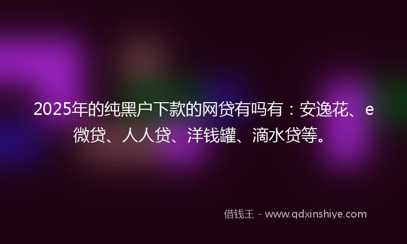 2025年的纯黑户下款的网贷有吗有：安逸花、e微贷、人人贷、洋钱罐、滴水贷等。
