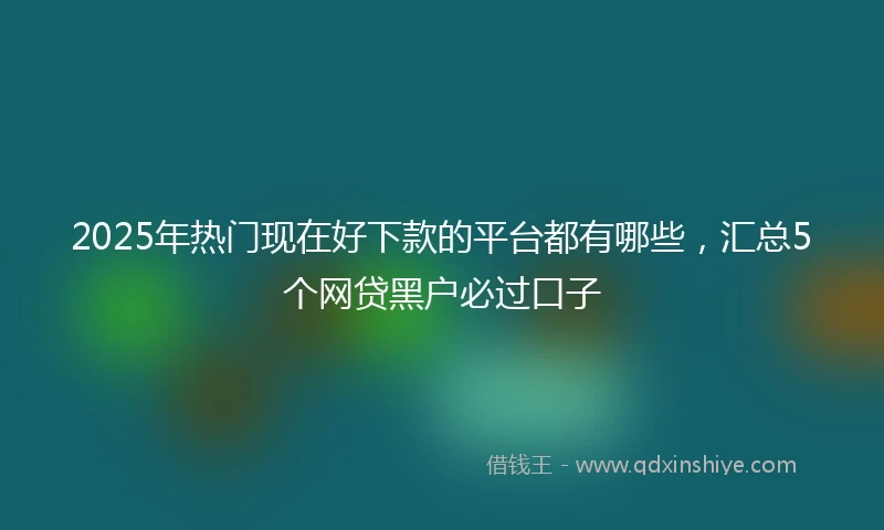 2025年热门现在好下款的平台都有哪些，汇总5个网贷黑户必过口子