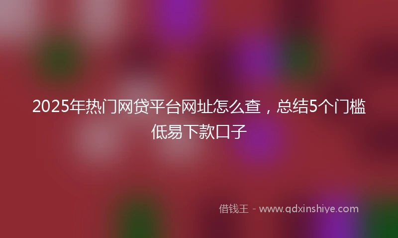 2025年热门网贷平台网址怎么查，总结5个门槛低易下款口子