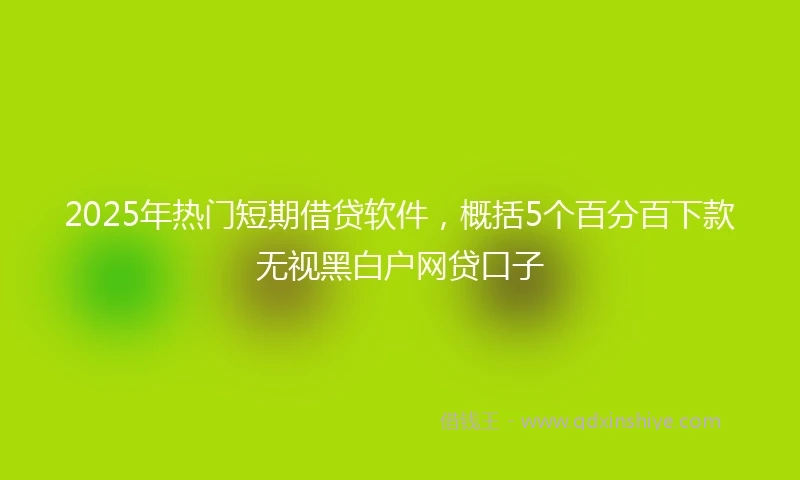2025年热门短期借贷软件，概括5个百分百下款无视黑白户网贷口子