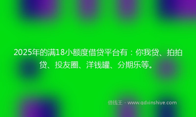 2025年的满18小额度借贷平台有：你我贷、拍拍贷、投友圈、洋钱罐、分期乐等。