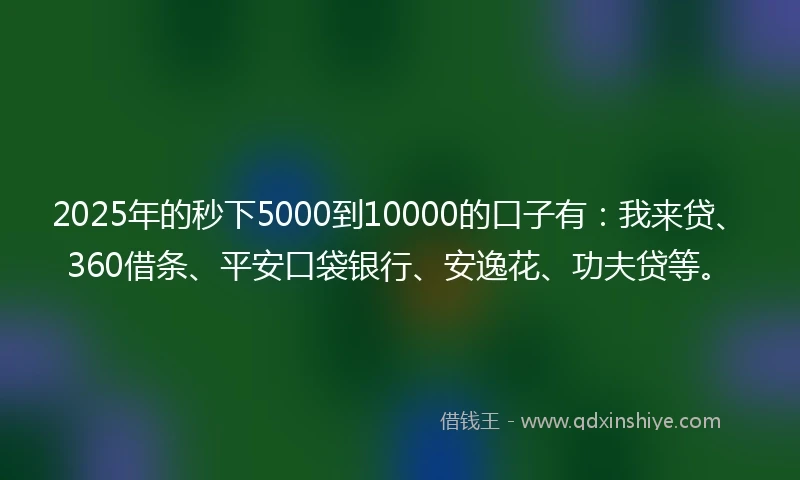 2025年的秒下5000到10000的口子有：我来贷、360借条、平安口袋银行、安逸花、功夫贷等。
