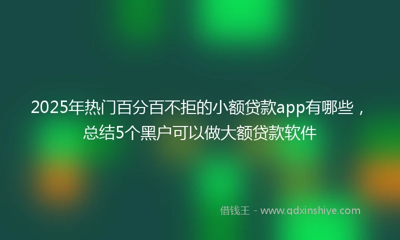 2025年热门百分百不拒的小额贷款app有哪些，总结5个黑户可以做大额贷款软件
