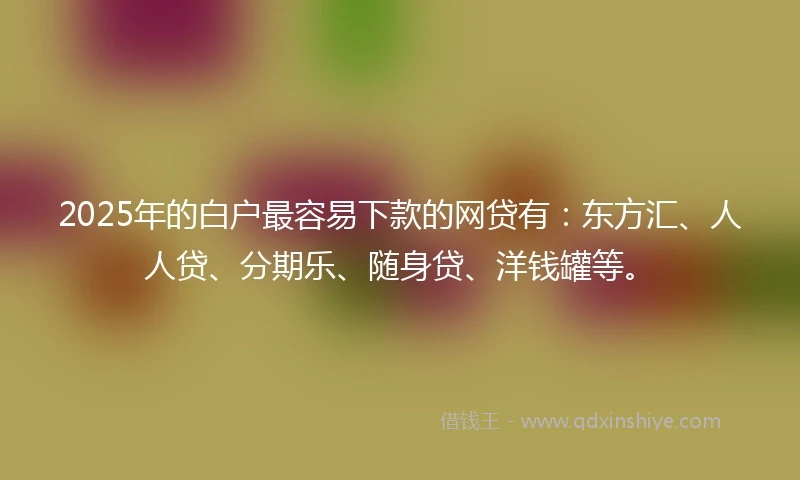 2025年的白户最容易下款的网贷有：东方汇、人人贷、分期乐、随身贷、洋钱罐等。