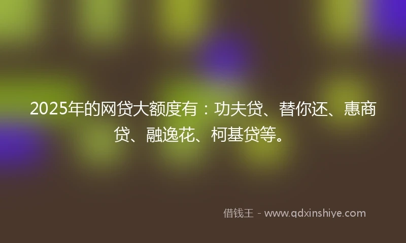 2025年的网贷大额度有：功夫贷、替你还、惠商贷、融逸花、柯基贷等。