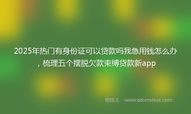 2025年热门有身份证可以贷款吗我急用钱怎么办，梳理五个摆脱欠款束缚贷款新app