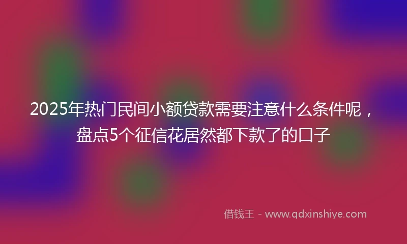 2025年热门民间小额贷款需要注意什么条件呢，盘点5个征信花居然都下款了的口子