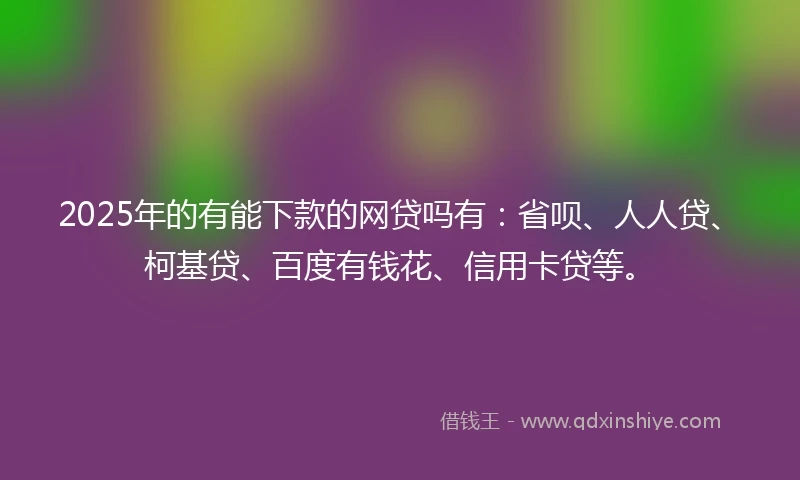 2025年的有能下款的网贷吗有：省呗、人人贷、柯基贷、百度有钱花、信用卡贷等。