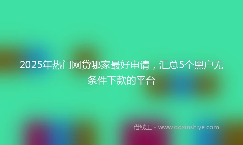 2025年热门网贷哪家最好申请，汇总5个黑户无条件下款的平台