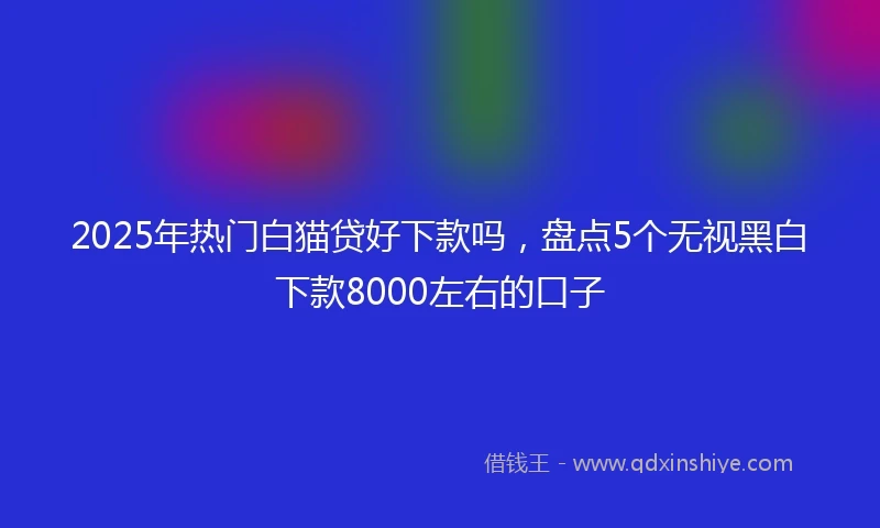 2025年热门白猫贷好下款吗，盘点5个无视黑白下款8000左右的口子