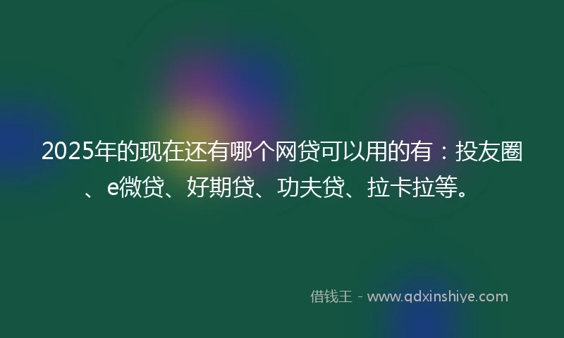 2025年的现在还有哪个网贷可以用的有：投友圈、e微贷、好期贷、功夫贷、拉卡拉等。