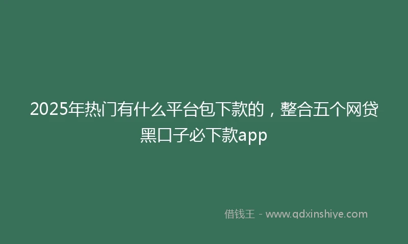 2025年热门有什么平台包下款的，整合五个网贷黑口子必下款app