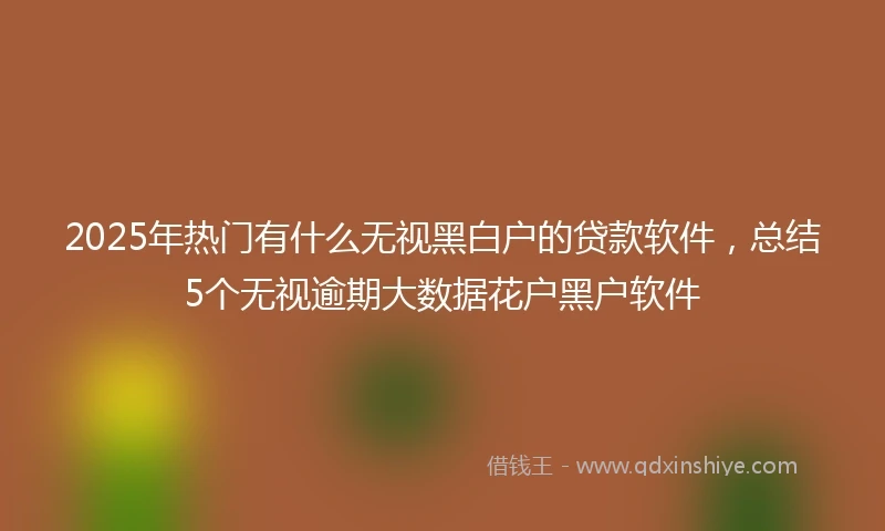 2025年热门有什么无视黑白户的贷款软件，总结5个无视逾期大数据花户黑户软件