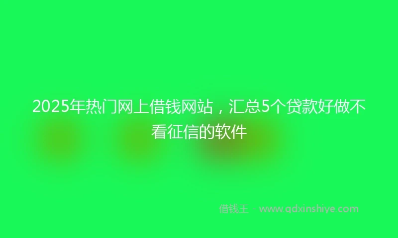 2025年热门网上借钱网站，汇总5个贷款好做不看征信的软件