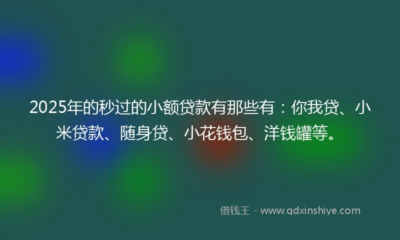 2025年的秒过的小额贷款有那些有：你我贷、小米贷款、随身贷、小花钱包、洋钱罐等。