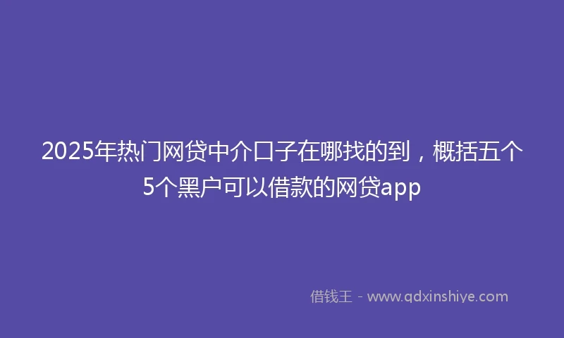 2025年热门网贷中介口子在哪找的到，概括五个5个黑户可以借款的网贷app
