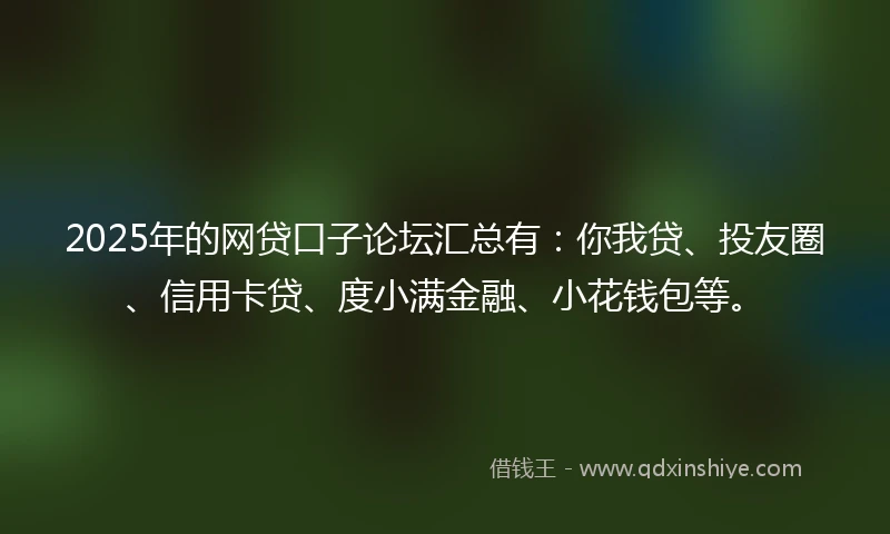 2025年的网贷口子论坛汇总有：你我贷、投友圈、信用卡贷、度小满金融、小花钱包等。