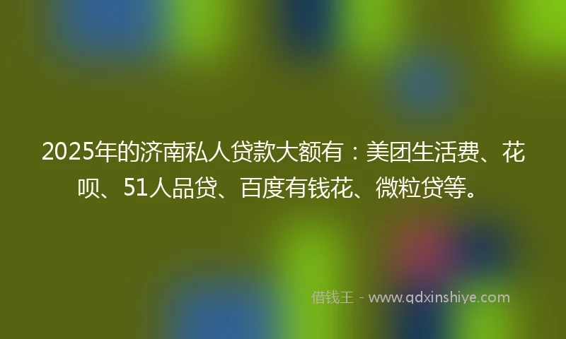 2025年的济南私人贷款大额有：美团生活费、花呗、51人品贷、百度有钱花、微粒贷等。