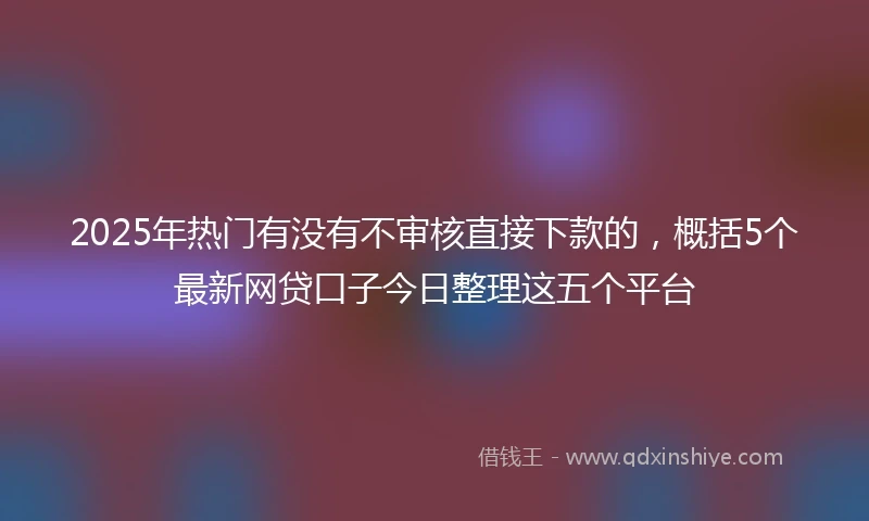 2025年热门有没有不审核直接下款的，概括5个最新网贷口子今日整理这五个平台