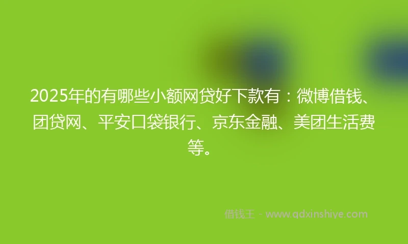 2025年的有哪些小额网贷好下款有：微博借钱、团贷网、平安口袋银行、京东金融、美团生活费等。
