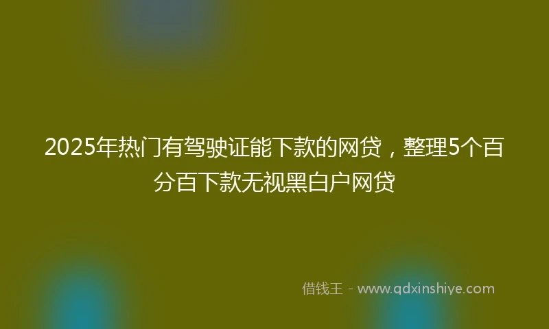2025年热门有驾驶证能下款的网贷，整理5个百分百下款无视黑白户网贷