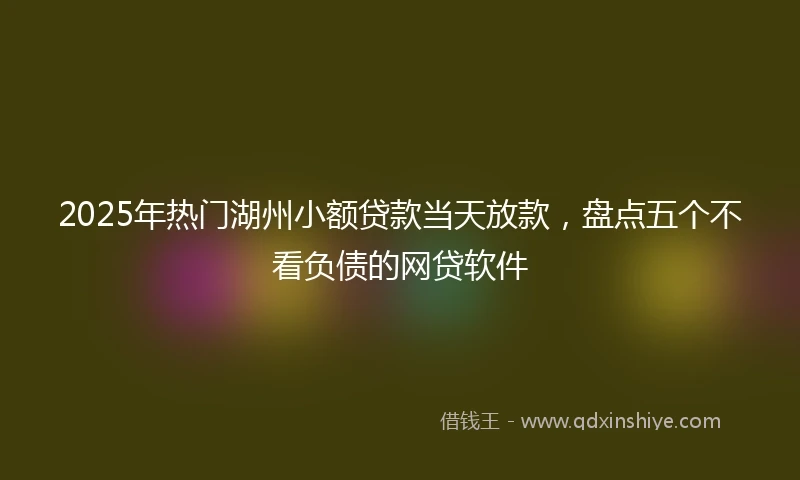 2025年热门湖州小额贷款当天放款，盘点五个不看负债的网贷软件