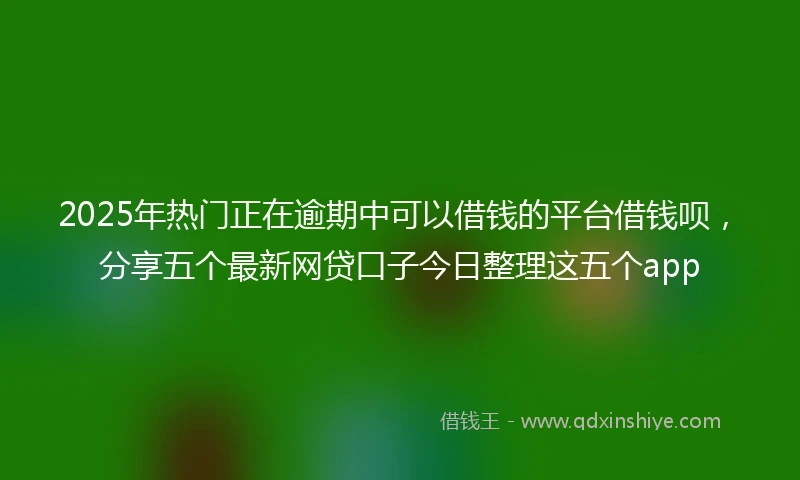 2025年热门正在逾期中可以借钱的平台借钱呗，分享五个最新网贷口子今日整理这五个app
