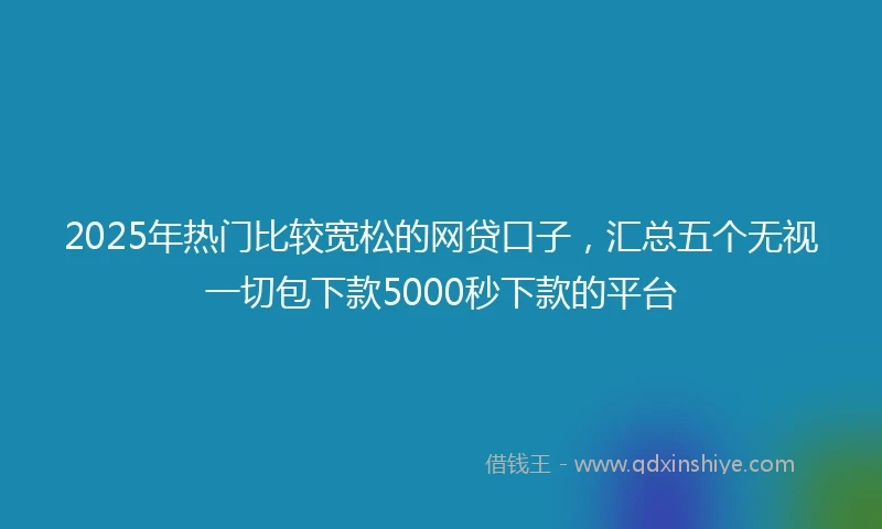 2025年热门比较宽松的网贷口子，汇总五个无视一切包下款5000秒下款的平台