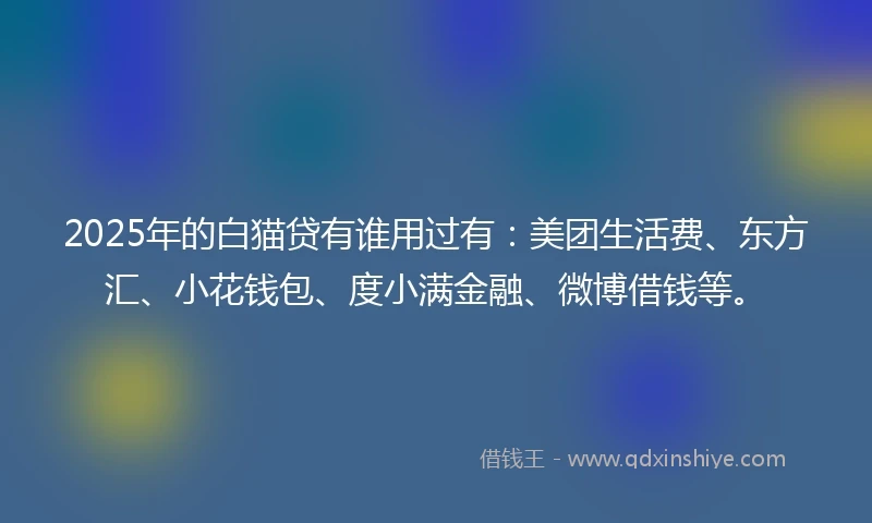 2025年的白猫贷有谁用过有：美团生活费、东方汇、小花钱包、度小满金融、微博借钱等。