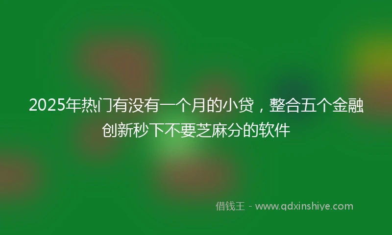 2025年热门有没有一个月的小贷，整合五个金融创新秒下不要芝麻分的软件