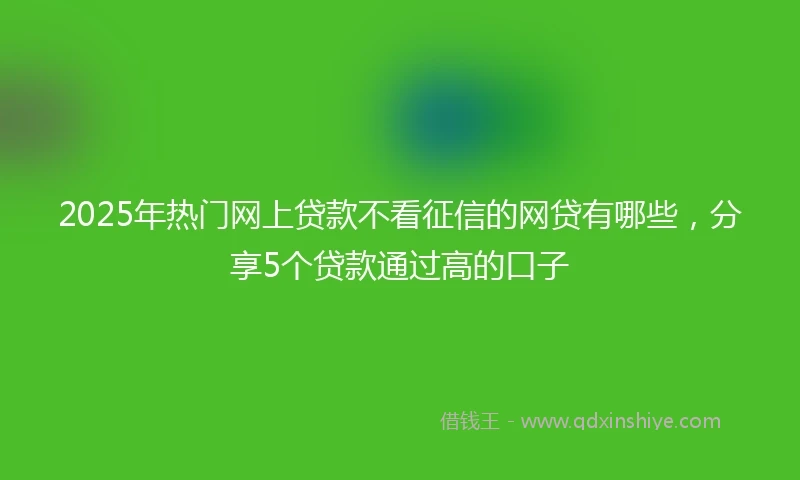 2025年热门网上贷款不看征信的网贷有哪些，分享5个贷款通过高的口子