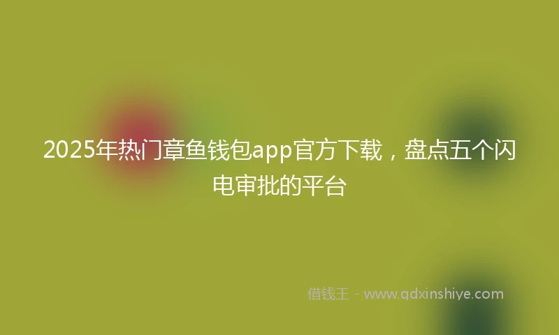 2025年热门章鱼钱包app官方下载，盘点五个闪电审批的平台