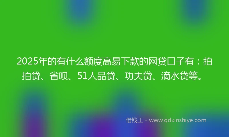 2025年的有什么额度高易下款的网贷口子有：拍拍贷、省呗、51人品贷、功夫贷、滴水贷等。
